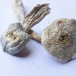 A+ magic mushrooms- premium psilocybin products displayed elegantly
