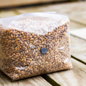 Sterile grain bag for mushroom cultivation – pre-sterilized substrate ready for inoculation” 1600kg